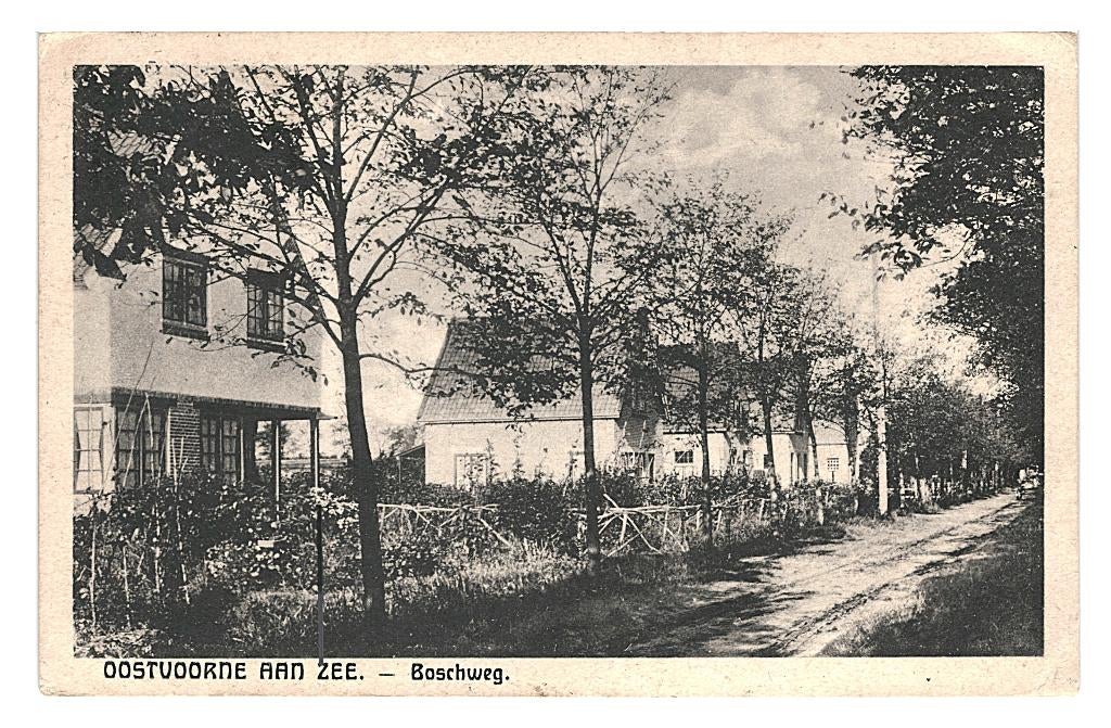 948099 Oostvoorne aan Zee ZH 1931 Boschweg Gelopen met zegel, Ophalen of Verzenden, 1920 tot 1940, Gelopen, Zuid-Holland