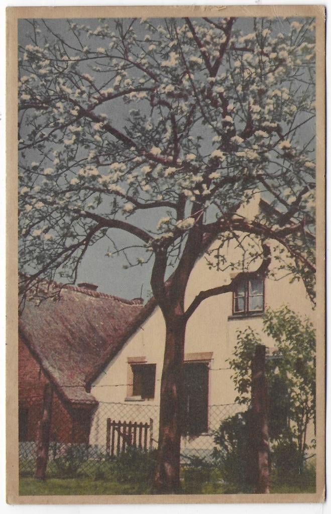 Nederland Voorjaar Ansichtkaart Uit 1913 ( B7423 ), Ophalen of Verzenden, Voor 1920, Gelopen