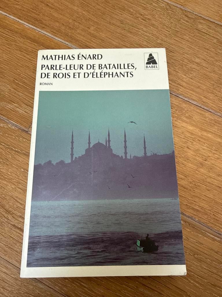 Parle-leur de batailles, de rois et d'éléphants - Mathias Én, Boeken, Ophalen of Verzenden, Gelezen, Europa overig