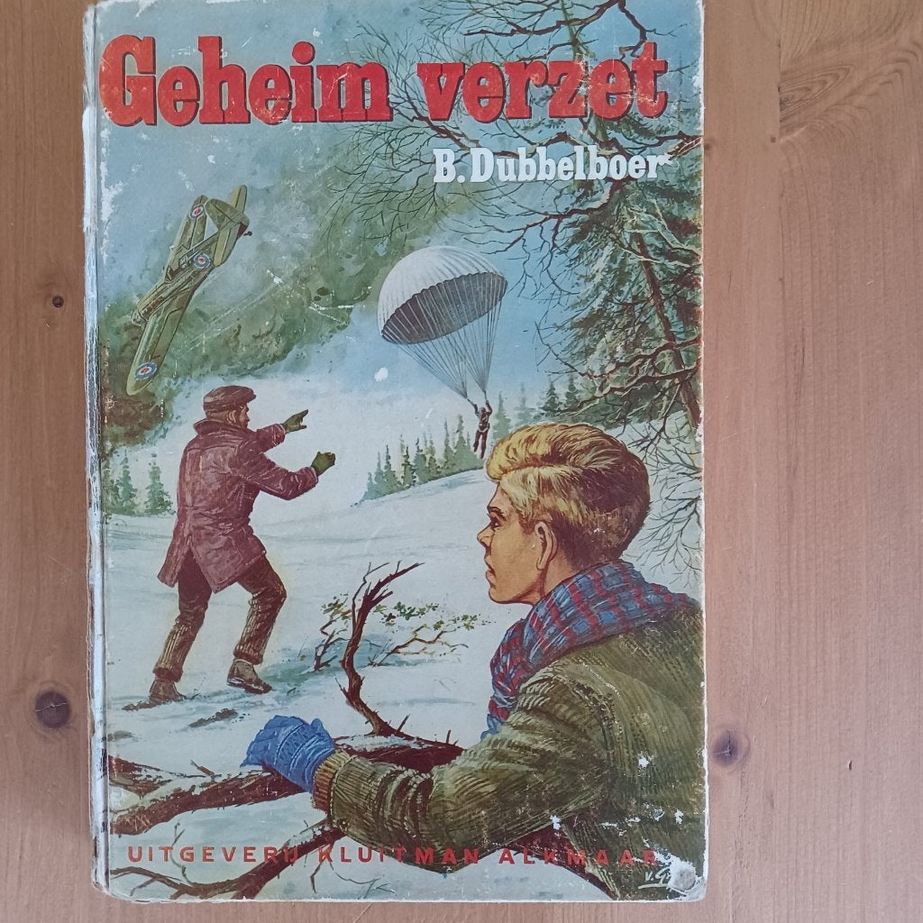 Geheim verzet, Boeken, Gelezen, Ophalen of Verzenden, B. Dubbelboer, Fictie