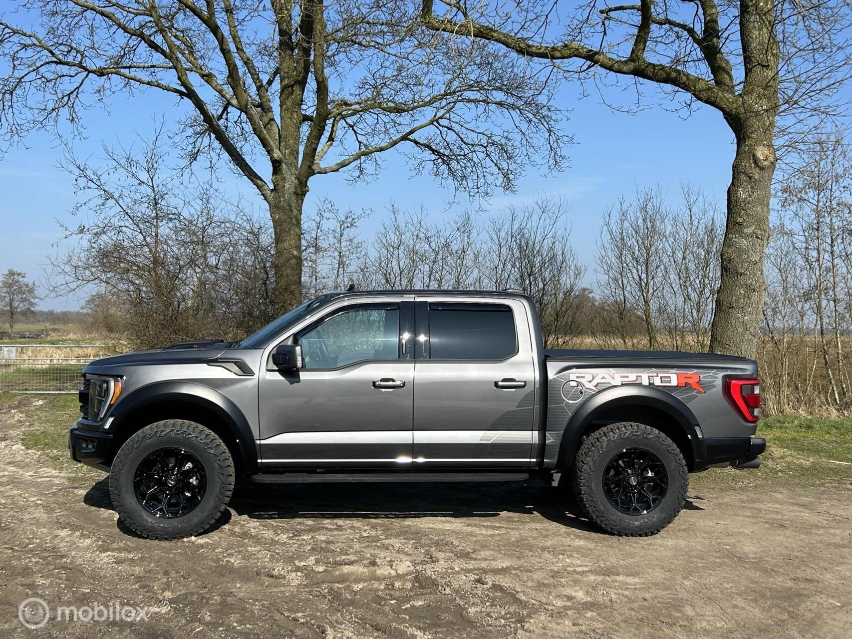 Ford F150 Raptor R 5.2 V8 Supercharged 711pk Prins Lpg, Auto's, Automaat, Gebruikt, 2851 kg, Vierwielaandrijving