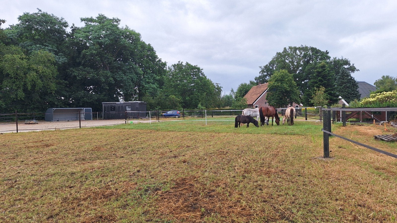 Aangeboden 24/7 buiten met schuilstal, Weidegang, 1 paard of pony