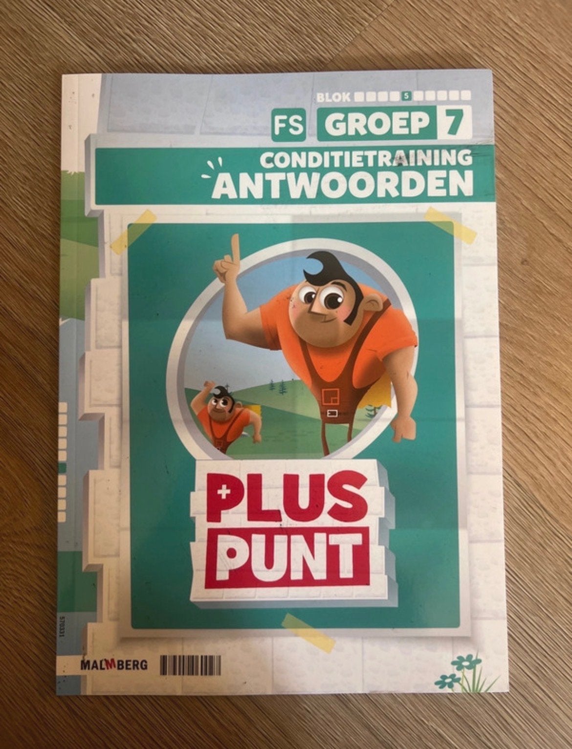 Pluspunt Groep 7 Antwoorden en Werkboek - Malmberg, Ophalen of Verzenden, Zo goed als nieuw, Overige niveaus, Overige vakken