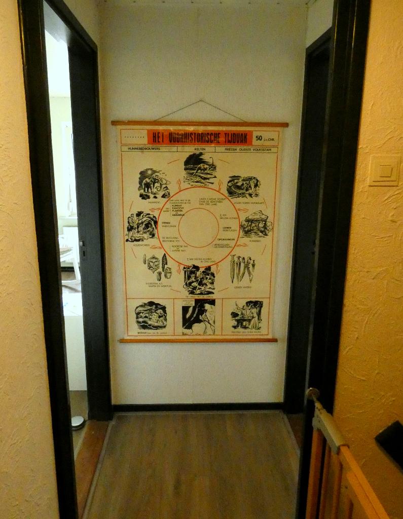oude, Belgische schoolplaat, Ophalen of Verzenden, Natuur en Biologie