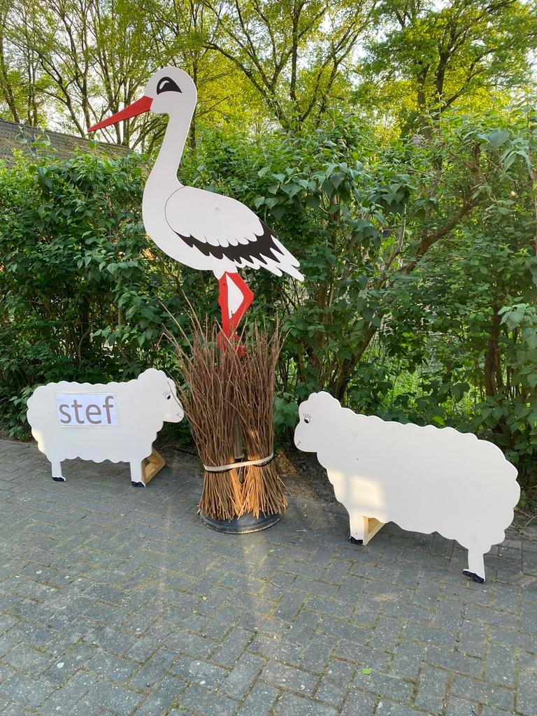 Ooievaar te huur geboorte, Ophalen of Verzenden, Zo goed als nieuw, Geboorte of Huwelijk