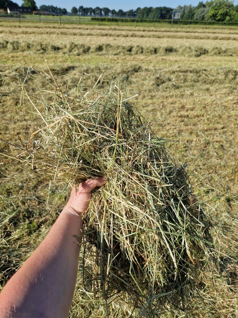 1e snede mooi voordroog gras in gesealde balen, Dieren en Toebehoren, Ophalen of Verzenden, Vee