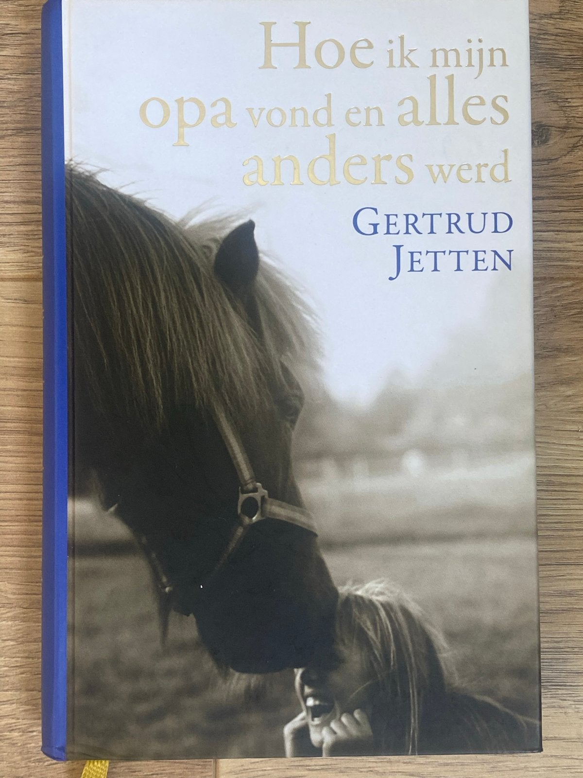 Hoe ik mijn opa vond en alles anders werd - Gertrud Jetten, Ophalen, Zo goed als nieuw, Nederland
