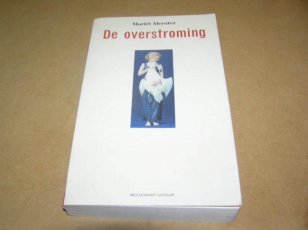 De Overstroming - Mariët Meester, Boeken, Romans, Zo goed als nieuw, Nederland, Ophalen of Verzenden