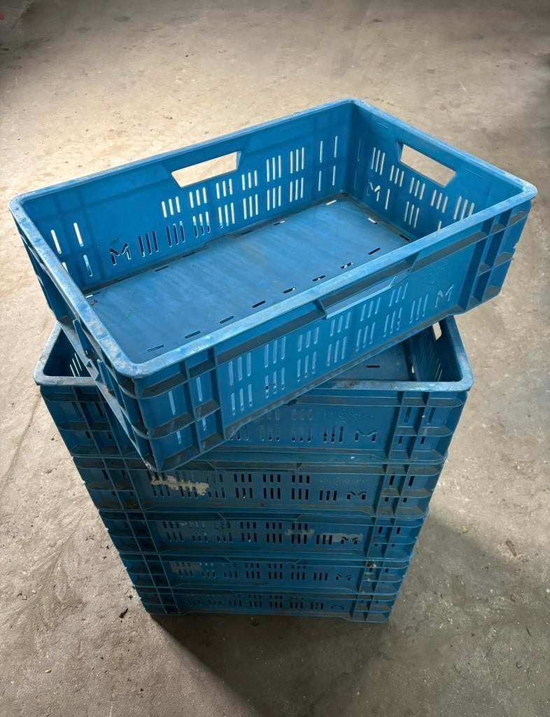 Kunststof kratjes, Ophalen, Gebruikt, 40 tot 60 cm, 50 tot 75 cm