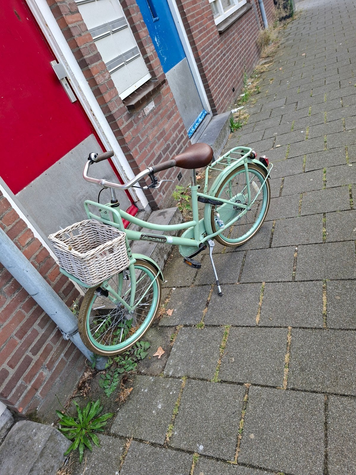 Groene Popal Daily Dutch Basic fiets met mand, Fietsen en Brommers, Terugtraprem, Ophalen, Overige merken, 53 tot 56 cm