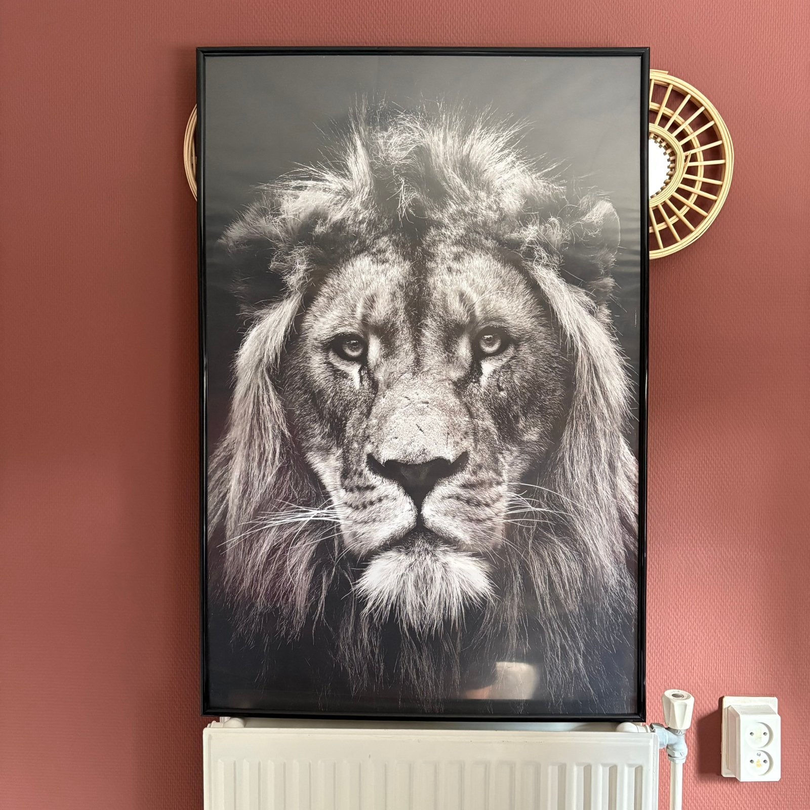 Poster in lijst leeuw, Huis en Inrichting, Woonaccessoires | Schilderijen, Tekeningen en Foto's, Ophalen, Zo goed als nieuw, Foto of Poster