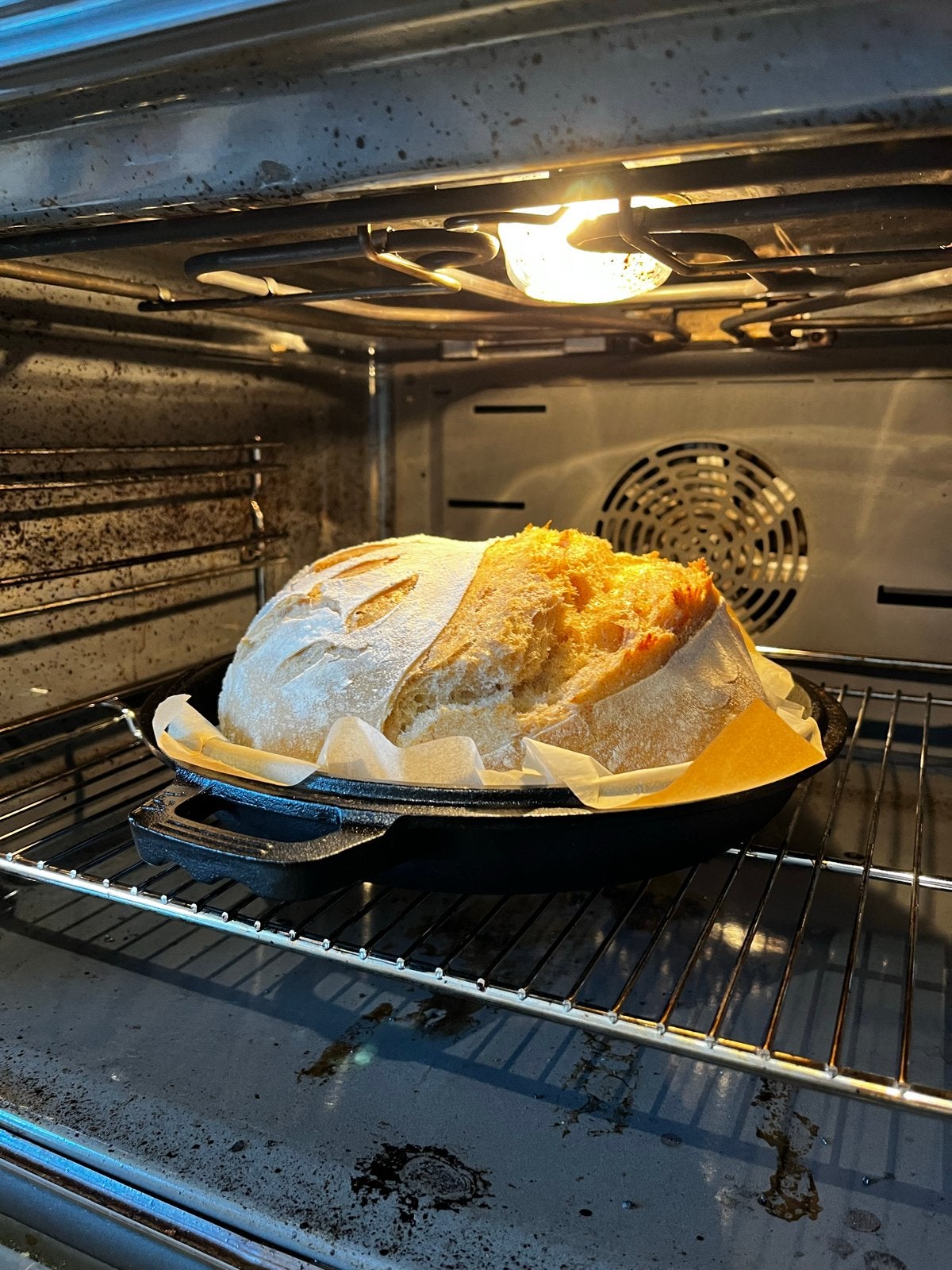 Zuurdesem Sourdough starter, Ophalen