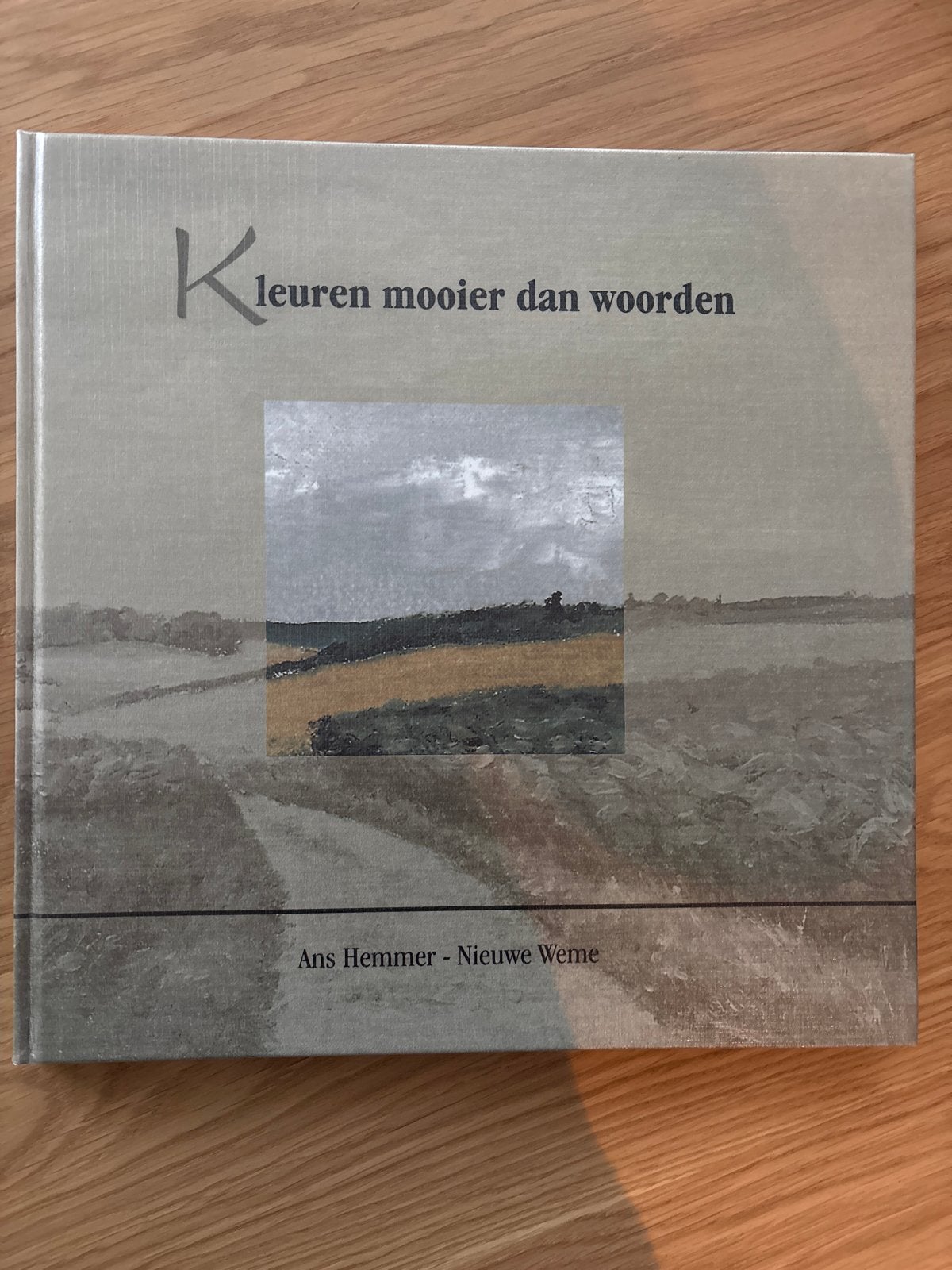 Kleuren mooier dan woorden - Ans Hemmer - Nieuwe Weme, Ophalen of Verzenden, Zo goed als nieuw, Schilder- en Tekenkunst