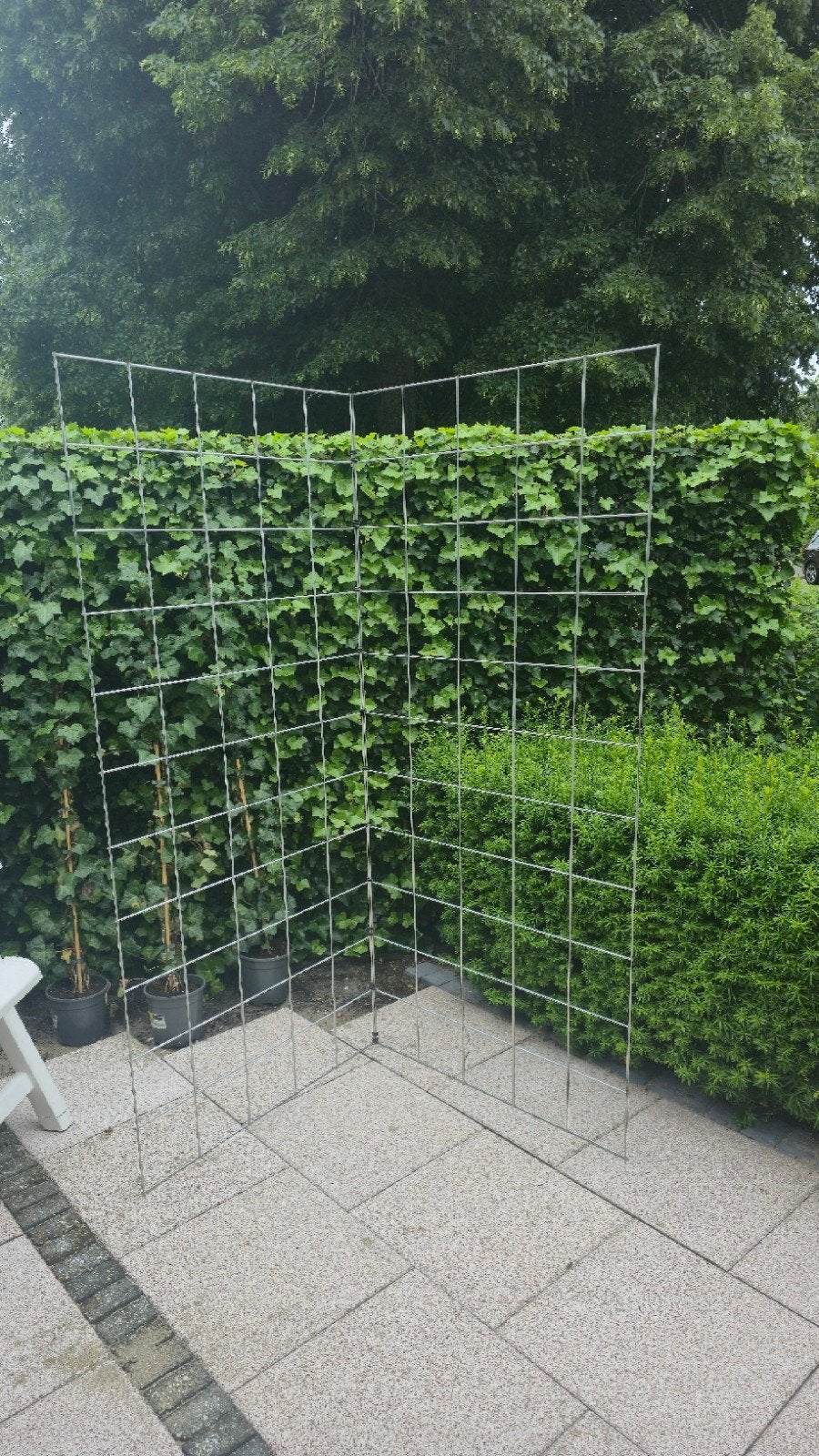 Glaspanelen voor klimplanten, Tuin en Terras, Gaas en Draad, Ophalen, Zo goed als nieuw, Minder dan 10 meter