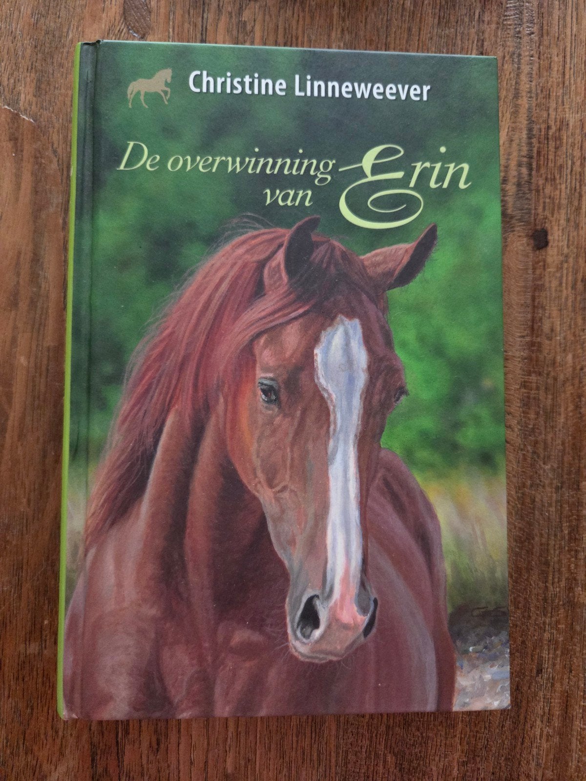 De overwinning van Erin - Christine Linneweever (Nieuw), Ophalen of Verzenden, Nieuw, Christine Linneweever
