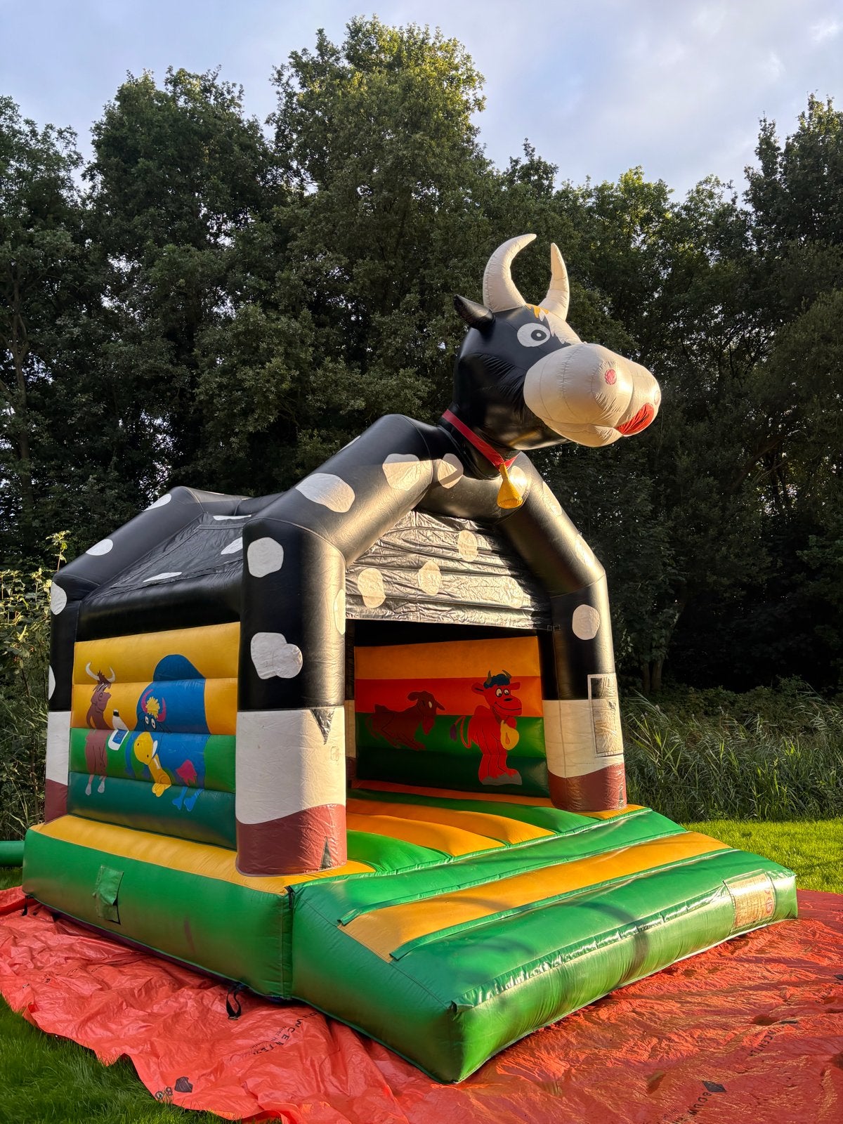 Springkussen Koe - Perfect voor kinderfeestjes!, Ophalen, Zo goed als nieuw