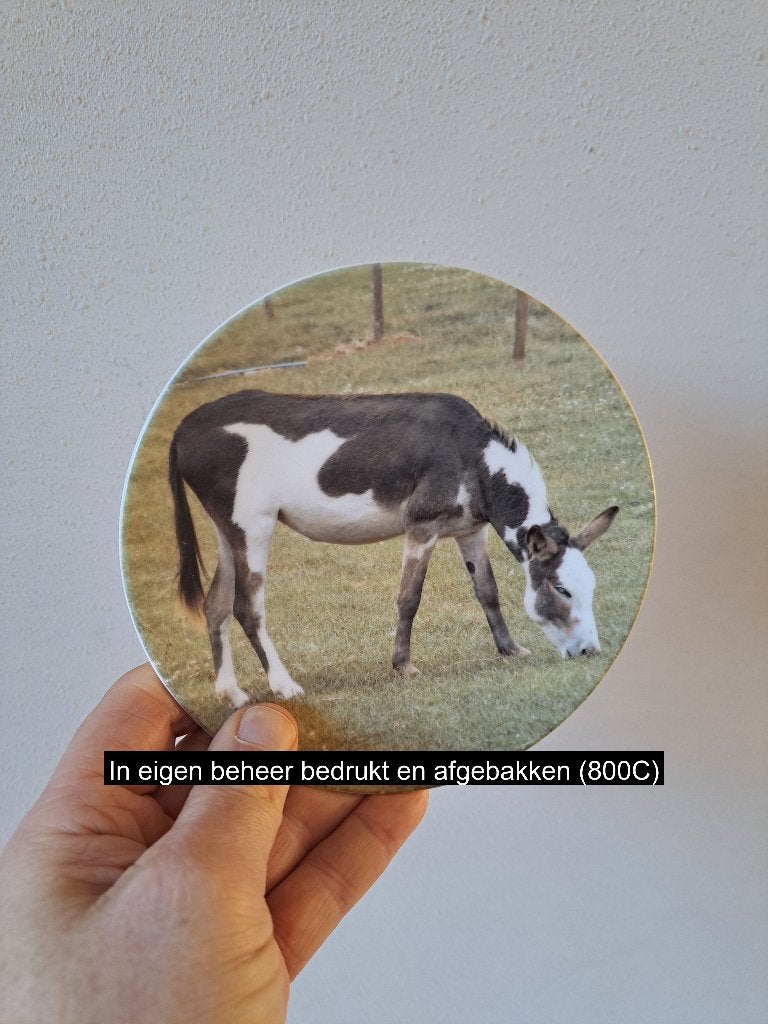 Ezel Eet Gras Wandbord van Porselein 16 cm, Ophalen of Verzenden