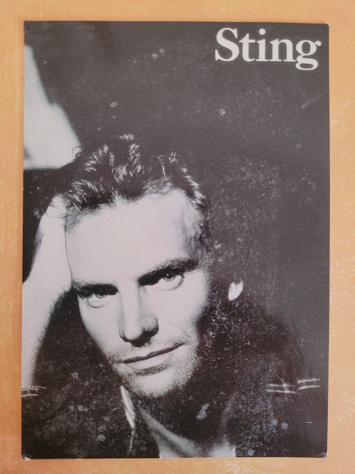 Sting ( Police) - Ansichtkaart, Verzamelen, Ophalen, Zo goed als nieuw, Foto of Kaart