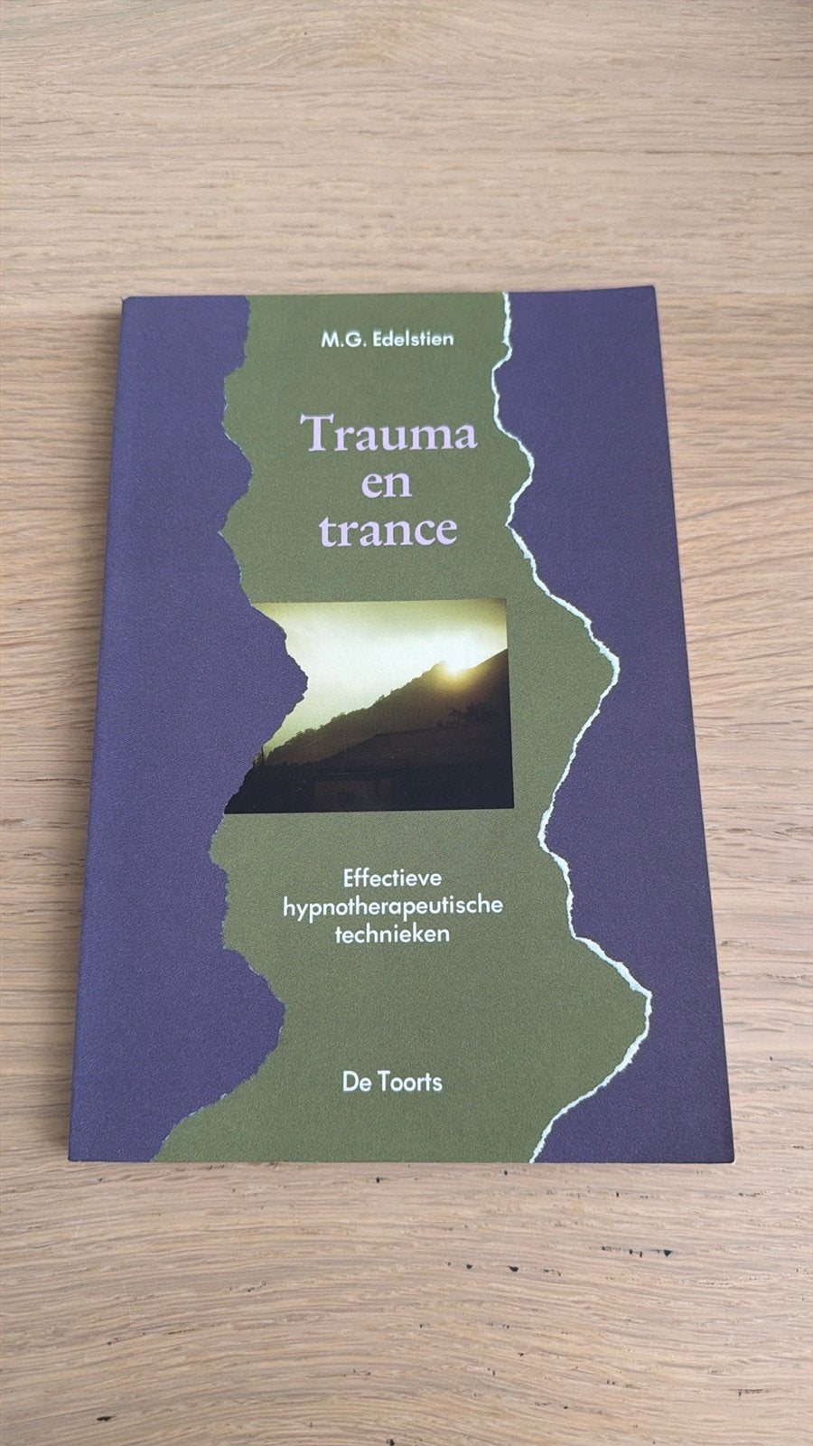 Trauma en trance: Effectieve hypnotherapeutische technieken, Ophalen of Verzenden, Zo goed als nieuw, Klinische psychologie