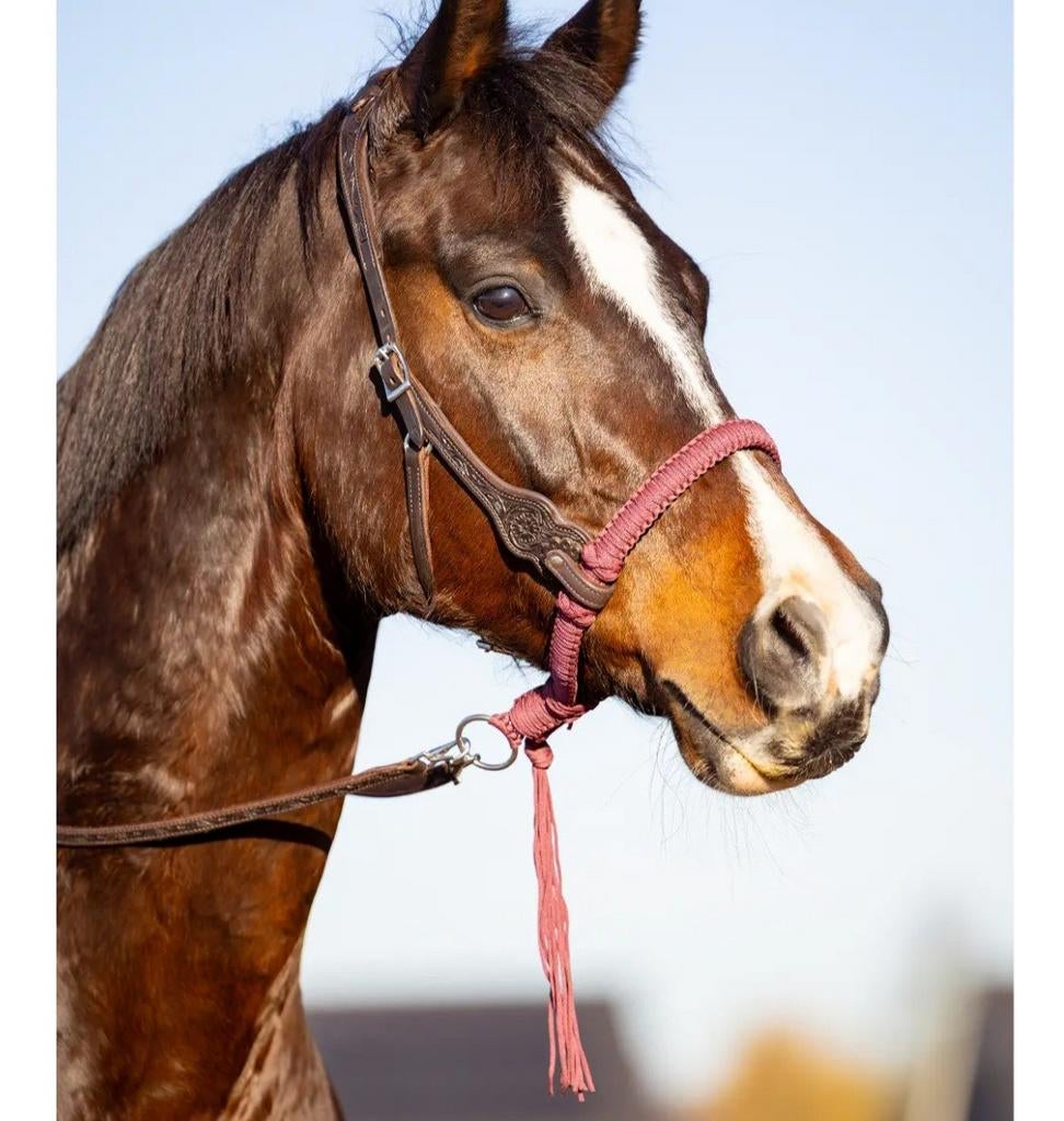 EDIX westernhoofdstel bosal, Dieren en Toebehoren, Ophalen, Springen