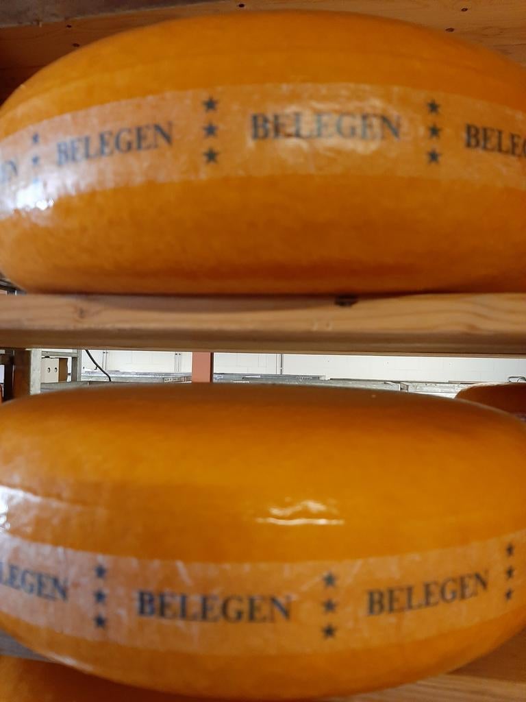 TOPkaas. Belegen. €85 voor 11,5 kg!!, Ophalen of Verzenden