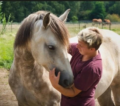 Medewerker Paardenhouderij afgestudeerd