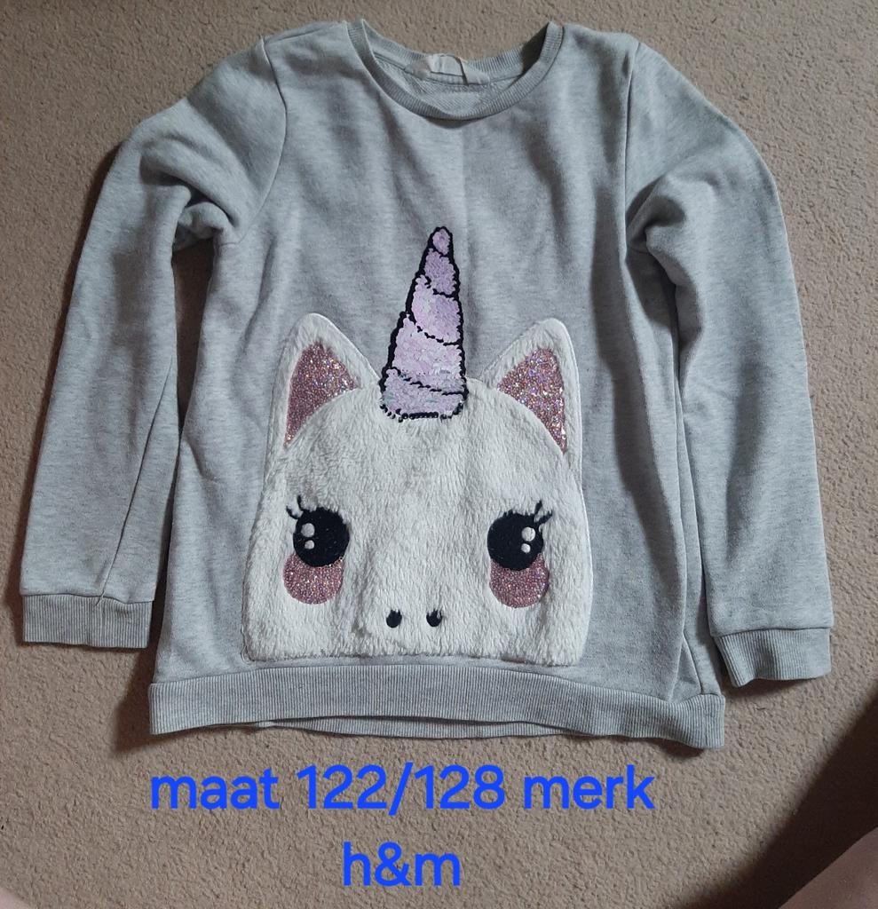 Leuke H&M trui met eenhoorn (maat 122/128), Kinderen en Baby's, Kinderkleding | Maat 122, Meisje, Trui of Vest, H&M, Ophalen of Verzenden
