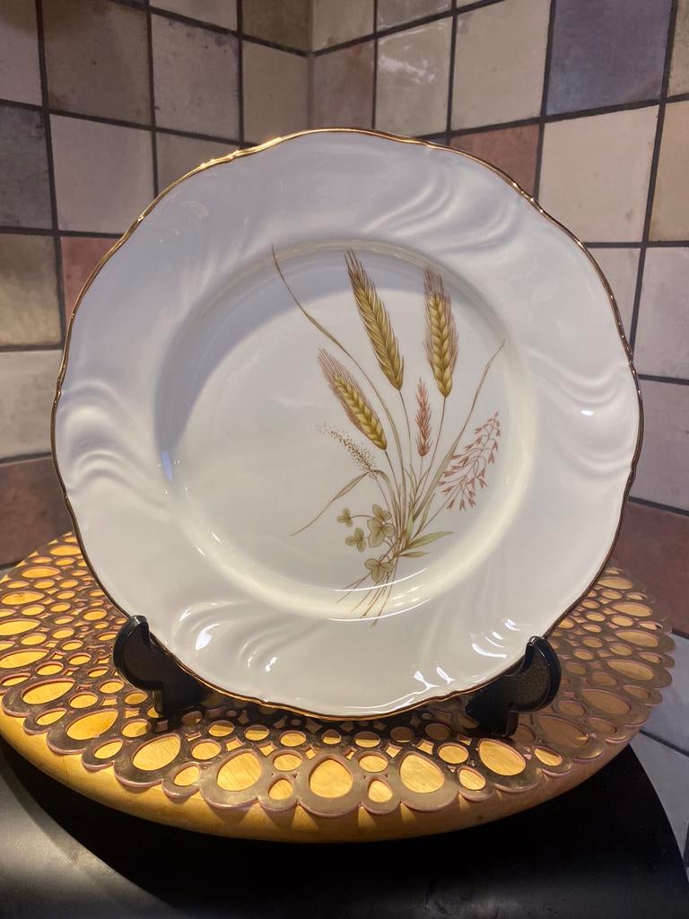 Veritable Porcelaine Fine,Arcadie,vintage dessert bord, Antiek en Kunst, Ophalen of Verzenden
