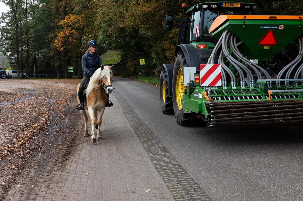Doorlopend te koop; fijn gereden/verkeersmakke Haflingers!, Meerdere dieren, Niet van toepassing, Met stamboom, 3 tot 6 jaar
