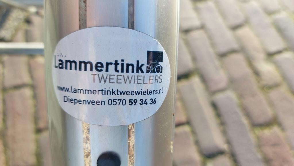 Easy Rider Driewieler - Zo goed als nieuw!, Fietsen en Brommers, Ophalen, Gebruikt, Van Raam Easy Rider