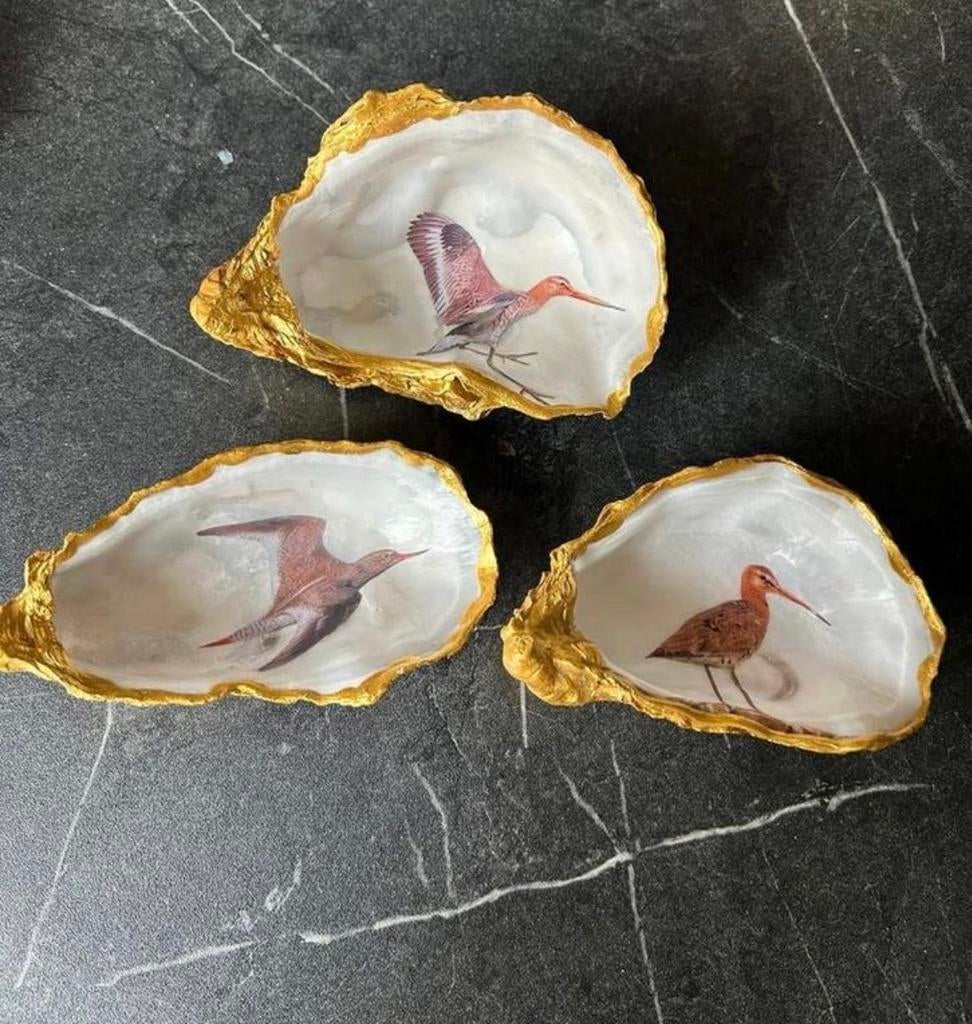Oesterschelpen met Weide- en Kustvogels, Ophalen of Verzenden, Nieuw