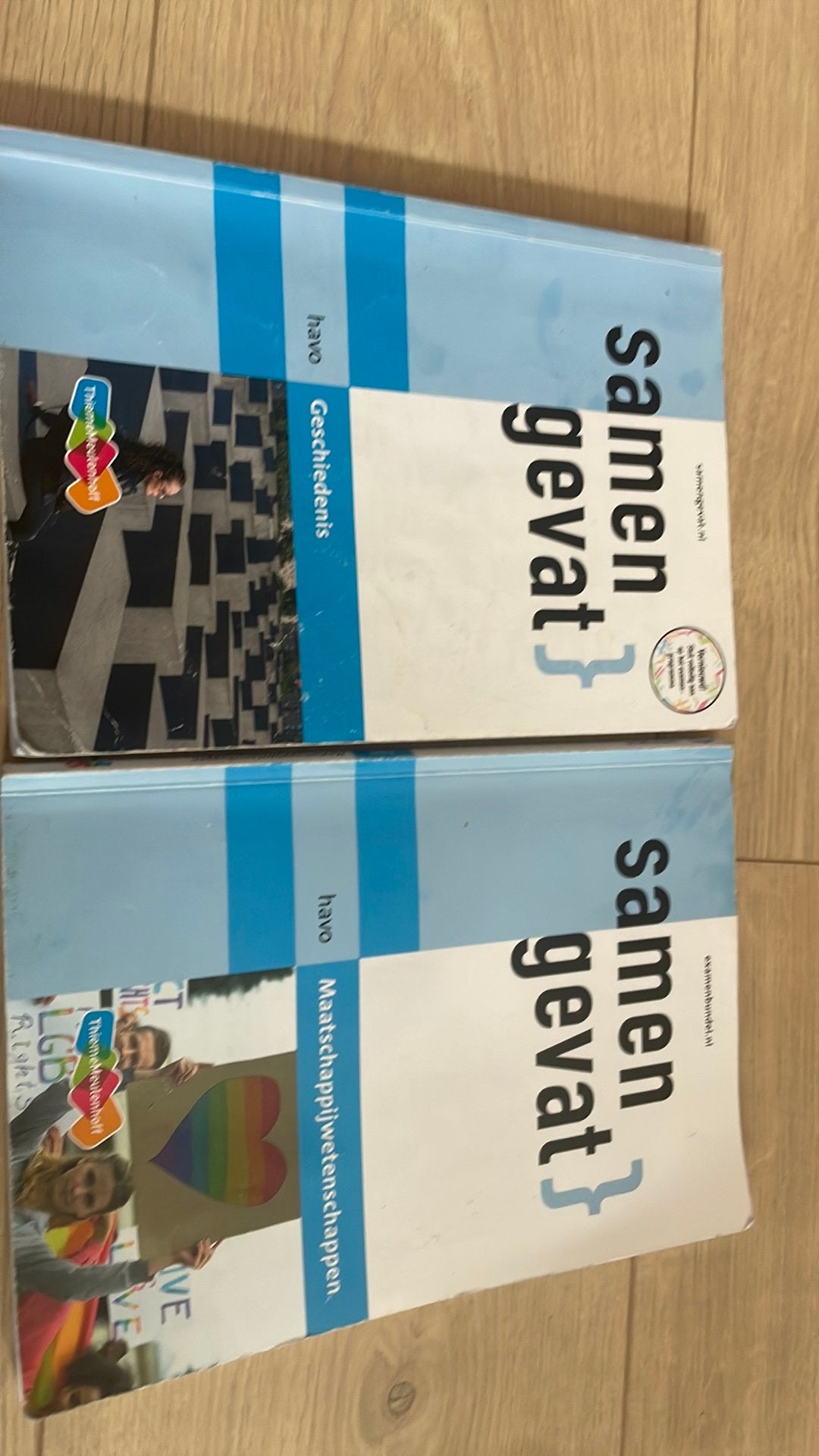 Samengevat havo msw en geschiedenis, Boeken, Ophalen, Zo goed als nieuw, HAVO, Geschiedenis