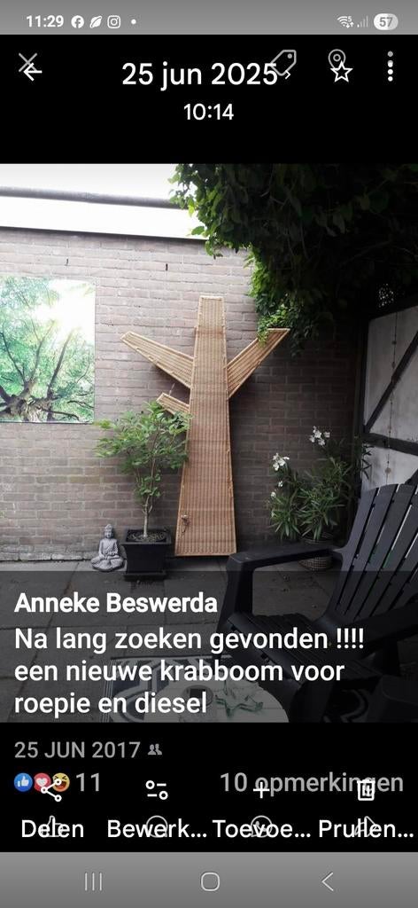 GEZOCHT!!!!!! KRABPAAL IKEA, Ophalen of Verzenden, Krabpaal