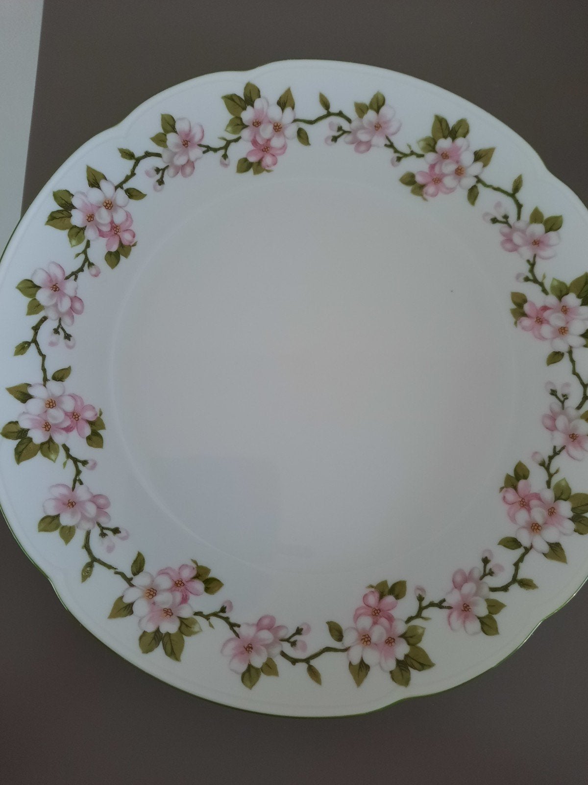 Schaal bord gebakschaal 24 cm, Ophalen of Verzenden