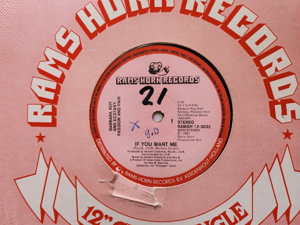 12" Barbara Roy & Ecstasy, Passion And Pain - If You Want Me, Cd's en Dvd's, Vinyl | Dance en House, Gebruikt, Ophalen of Verzenden
