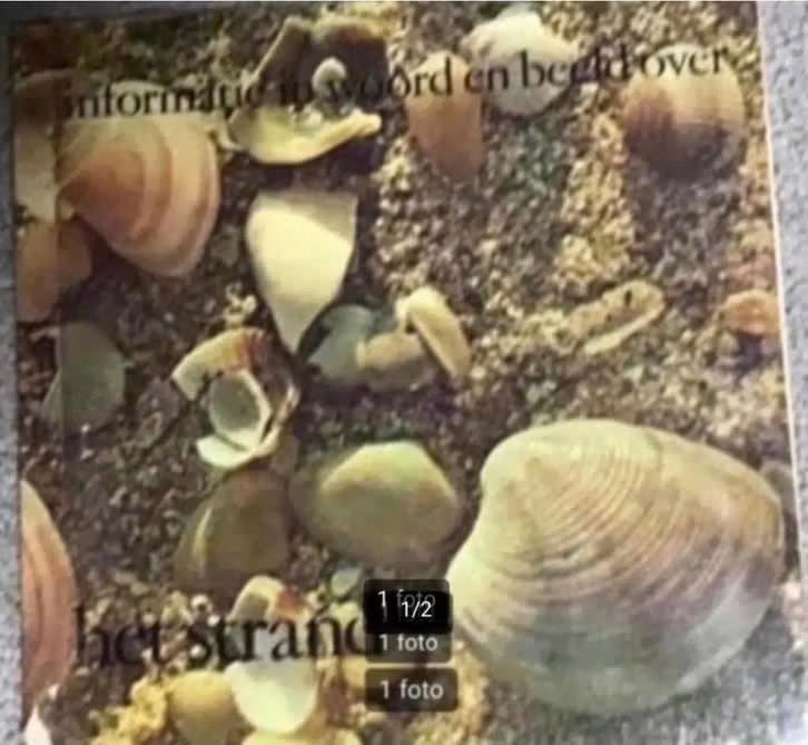 Informatie in woord en beeld over het strand door G.den Hoed, Ophalen of Verzenden, Gelezen, Natuur algemeen