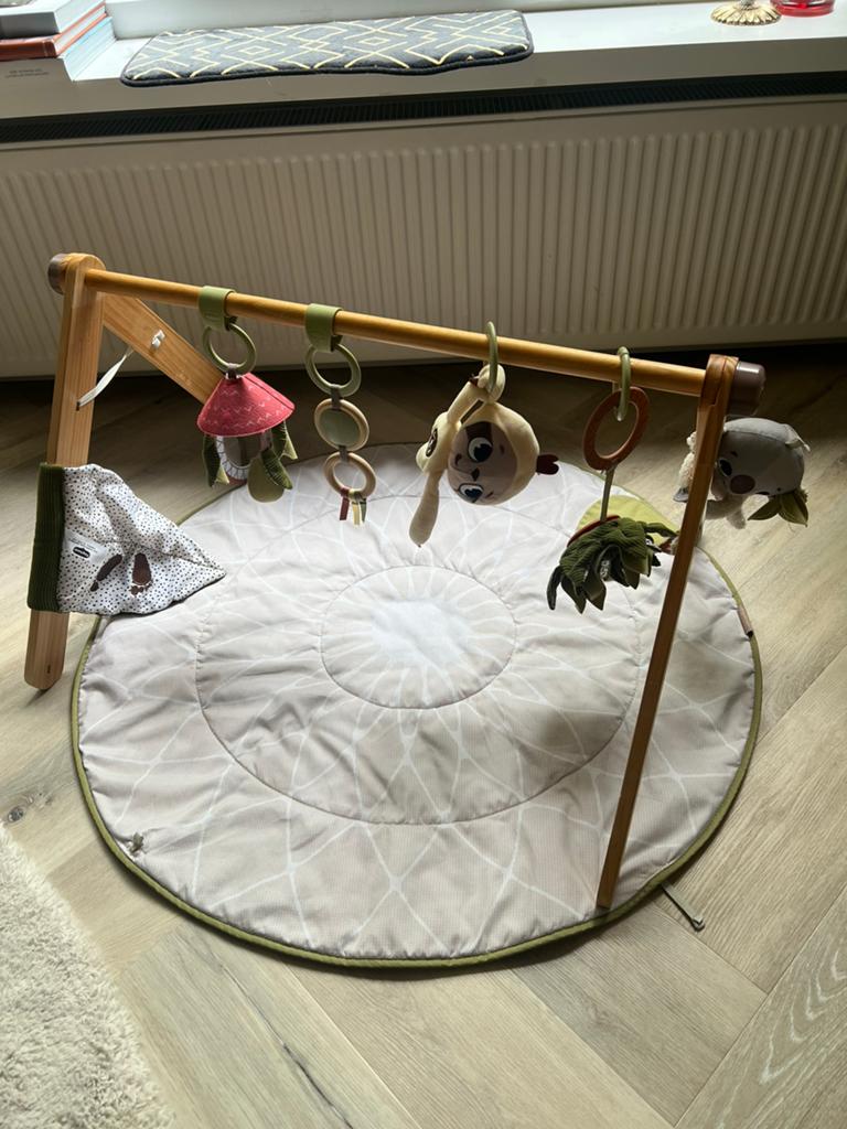Tiny Love babygym, Kinderen en Baby's, Speelgoed | Babyspeelgoed, Ophalen of Verzenden, Gebruikt, Babygym