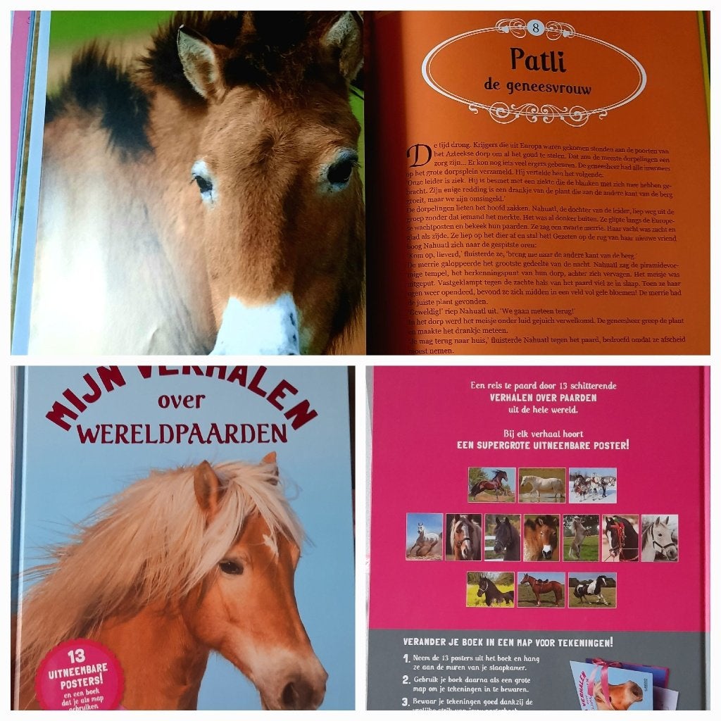 Boek met posters: Mijn verhalen over wereldpaarden, Boeken, Ophalen of Verzenden, Zo goed als nieuw, Fictie algemeen