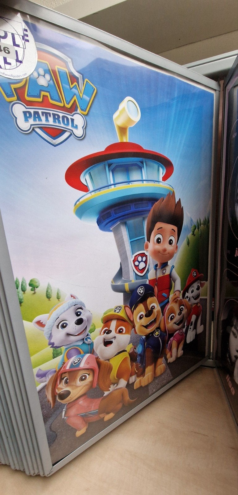 Paw Patrol Poster/Wanddecoratie, Ophalen of Verzenden, Nieuw