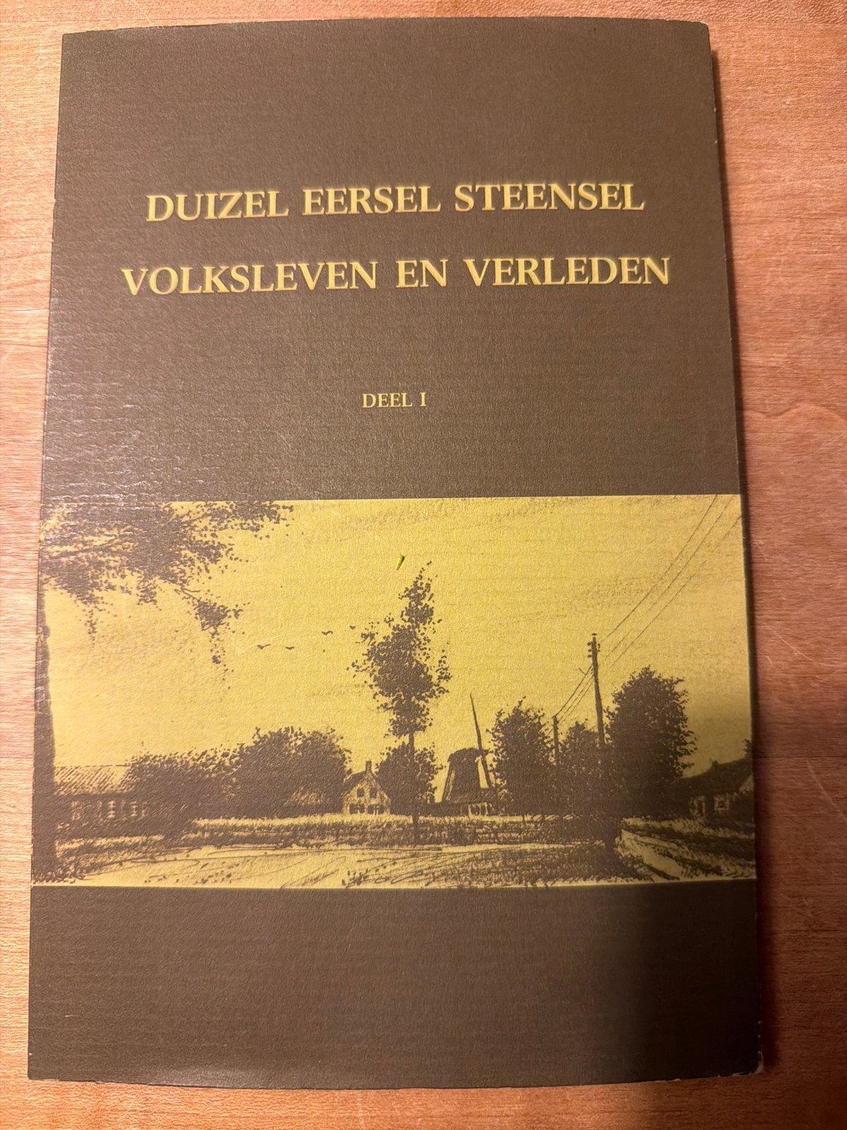 Duizel Eersel Steensel Volksleven en Verleden Deel I, Ophalen of Verzenden, 20e eeuw of later, Gelezen