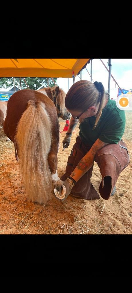 Natuurlijk hoefbekapper, pony's, paarden en ezel bekapper., Dieren en Toebehoren, Paarden en Pony's | Overige Paardenspullen, Ophalen