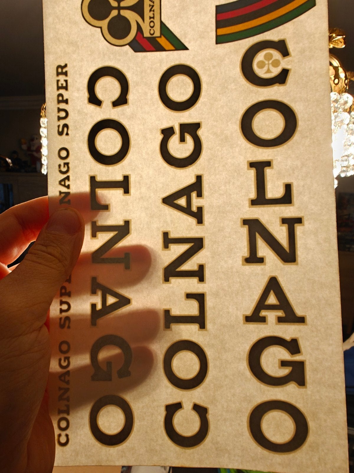 NOS zwarte colnago decals, Ophalen of Verzenden, Nieuw