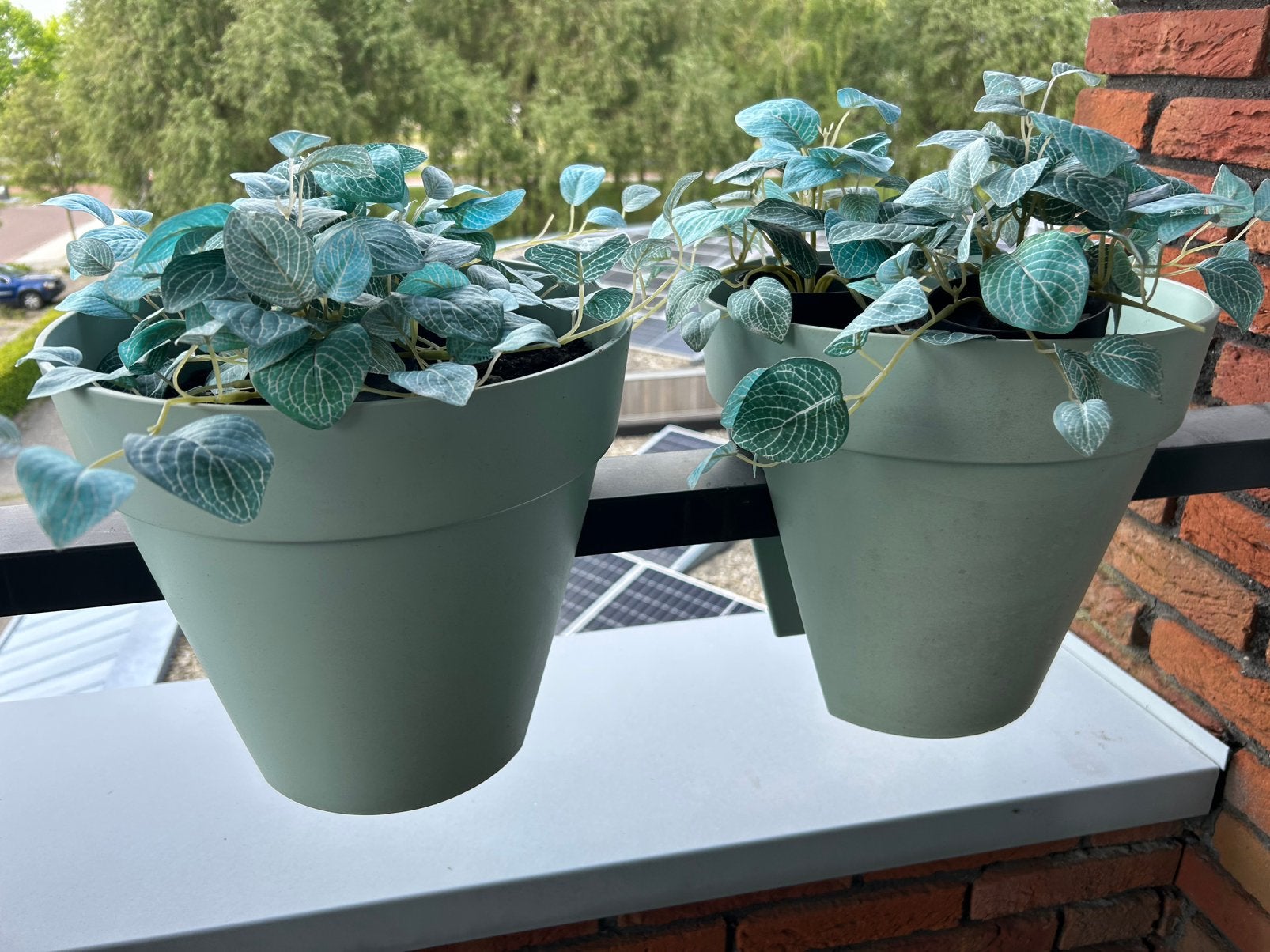 Elho balkon bloempotten groen - gebruikt, Ophalen, Kunststof, Minder dan 30 cm, Balkon