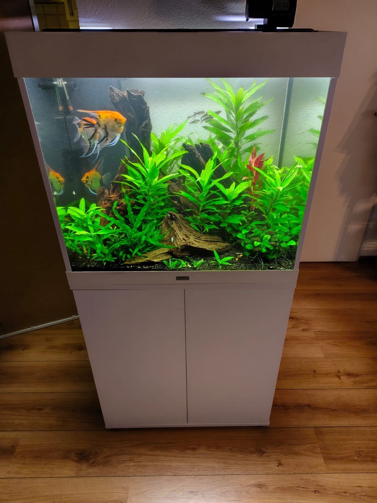 Juwel Lido 200 liter aquarium, Dieren en Toebehoren, Vissen | Aquaria en Toebehoren, Ophalen, Zo goed als nieuw, Leeg aquarium