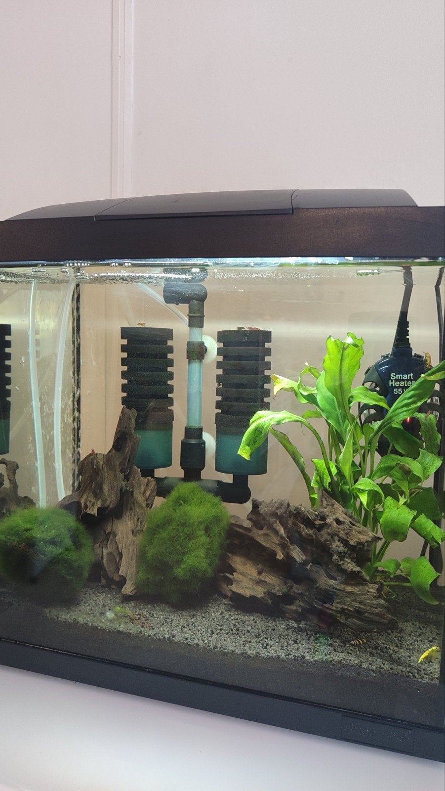 Compleet SuperFish garnalenaquarium 27L – garnalen, planten, Dieren en Toebehoren, Ophalen of Verzenden, Nieuw, Leeg aquarium