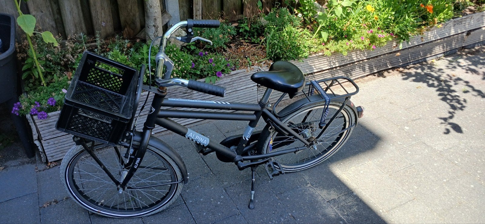 20inch Alpina Cargo fiets, Fietsen en Brommers, Ophalen, Terugtraprem, 20 inch, Handrem