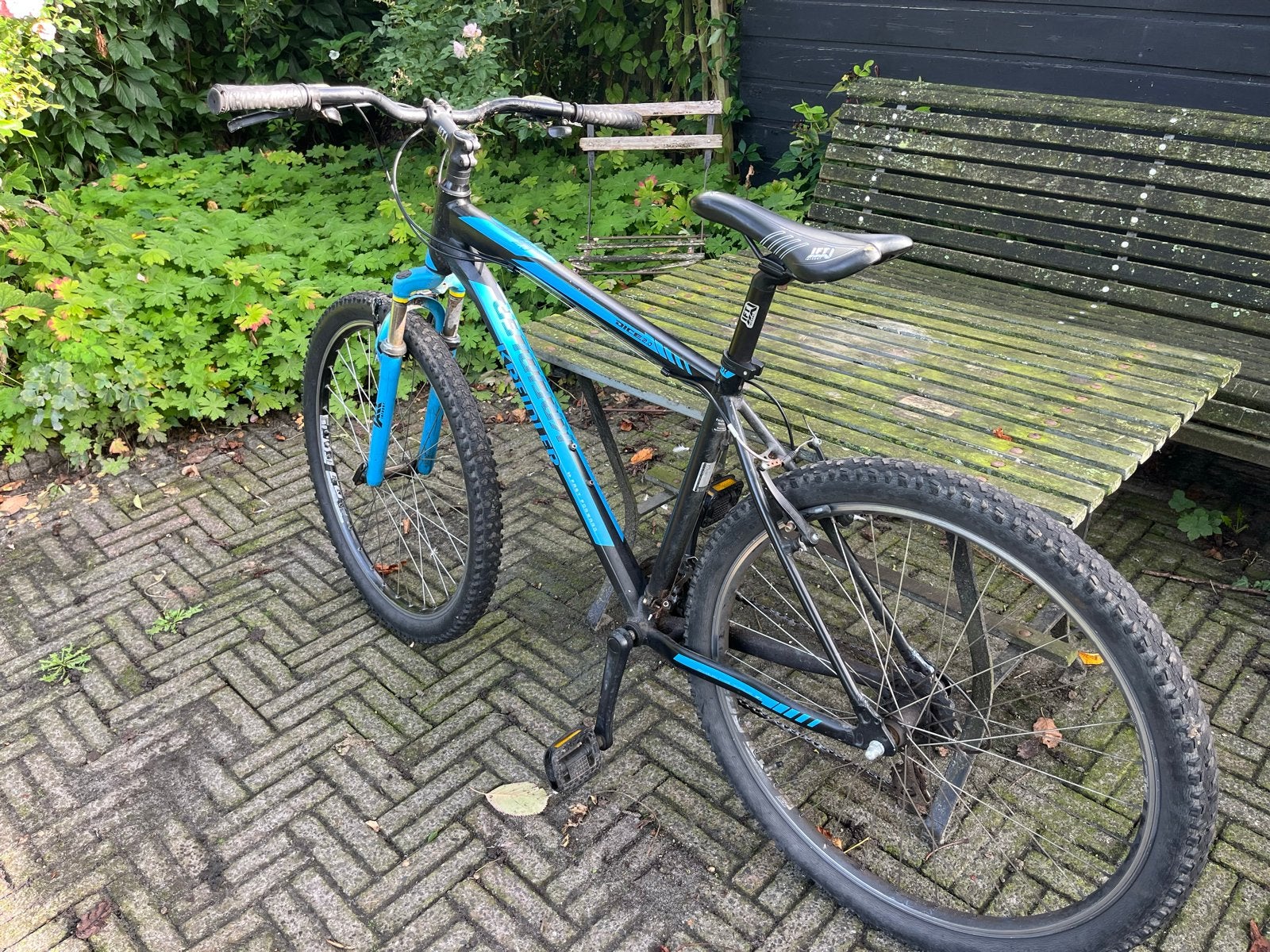 Kreidler Dice Mountainbike - Zwart/Blauw, Gebruikt, Meer dan 20 versnellingen, Schijfrem, 53 tot 57 cm
