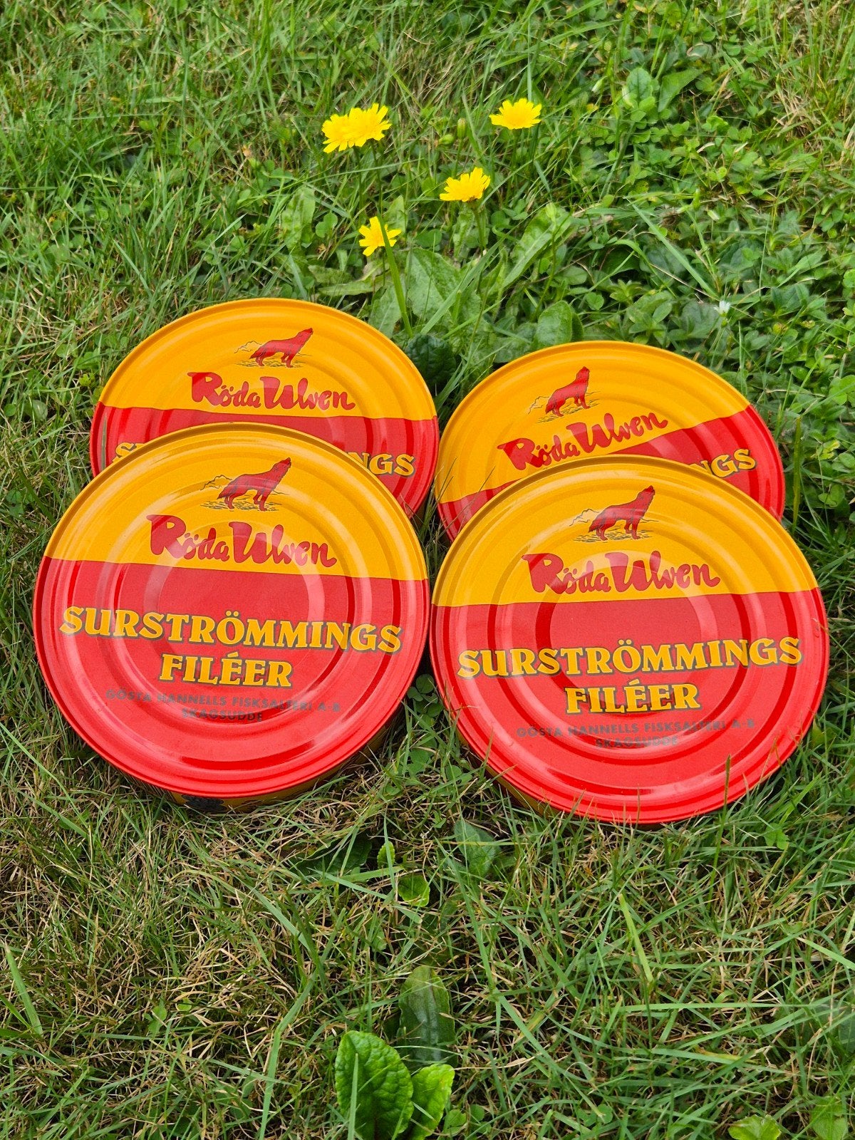 Surströmming te koop!, Diversen, Levensmiddelen, Ophalen of Verzenden