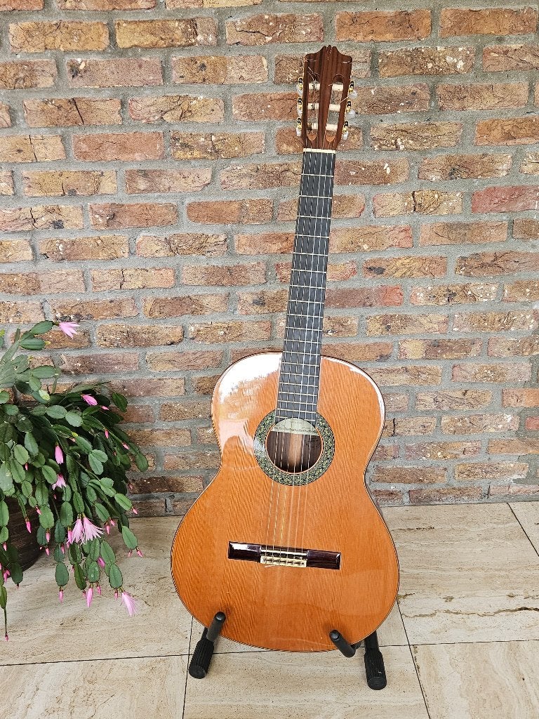 Alhambra 5P Klassieke Gitaar, incl. tas & standaard, Ophalen, Zo goed als nieuw, Klassieke of Spaanse gitaar
