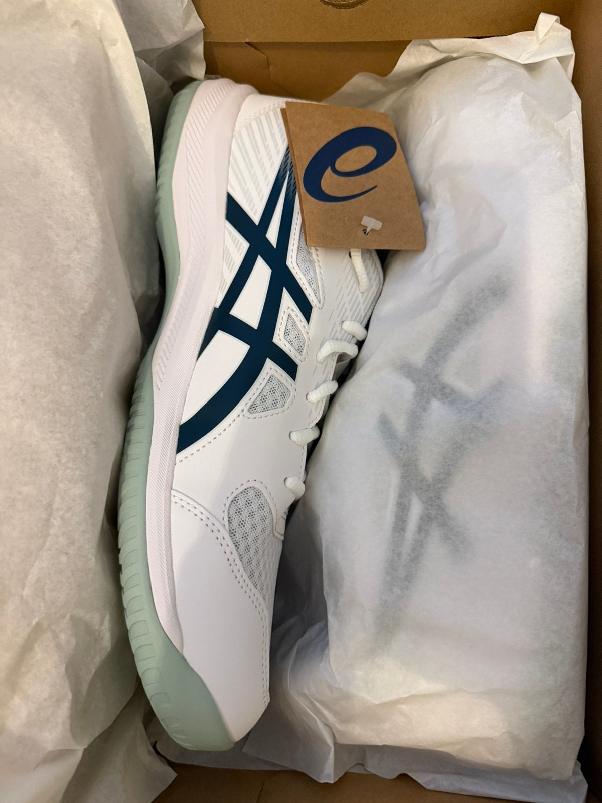 Asics binnen sportschoen maar 48, Ophalen, Zo goed als nieuw, Schoenen